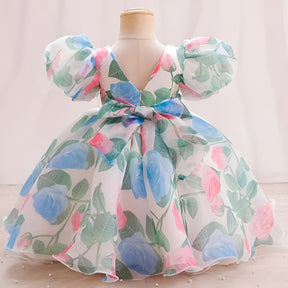 Blue And White Floral Print Puff Sleeve Baby Frock