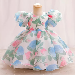 Blue And White Floral Print Puff Sleeve Baby Frock