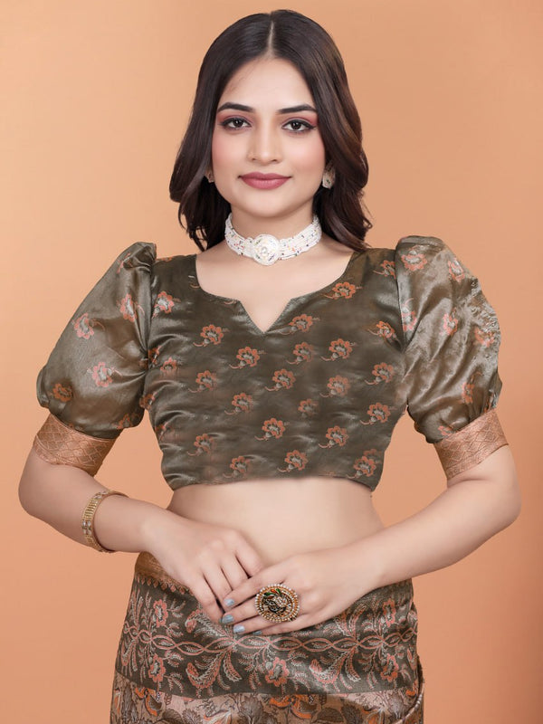 Bronze & Olive Green Soft Silk Saree with Majestic Peacock Pallu